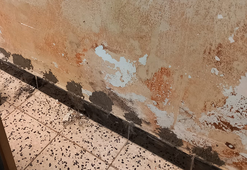 travaux drainage et humidité maison Namur